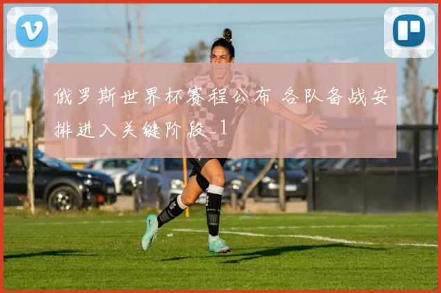 俄罗斯世界杯赛程公布 各队备战安排进入关键阶段_1