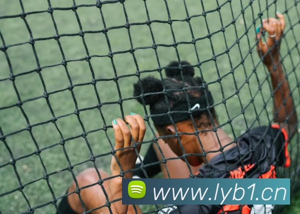 多媒体互动体验